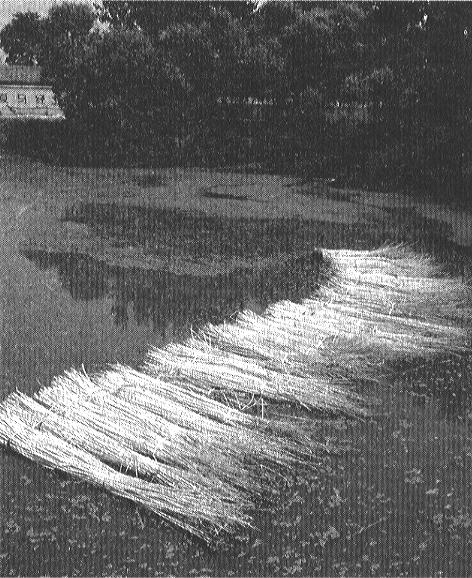 [Rsteteich]