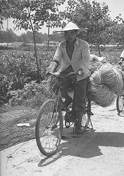 [Transport mit Fahrrad]