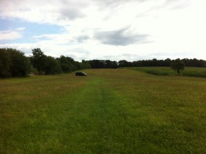 Parkplatz-Wiese am Estering